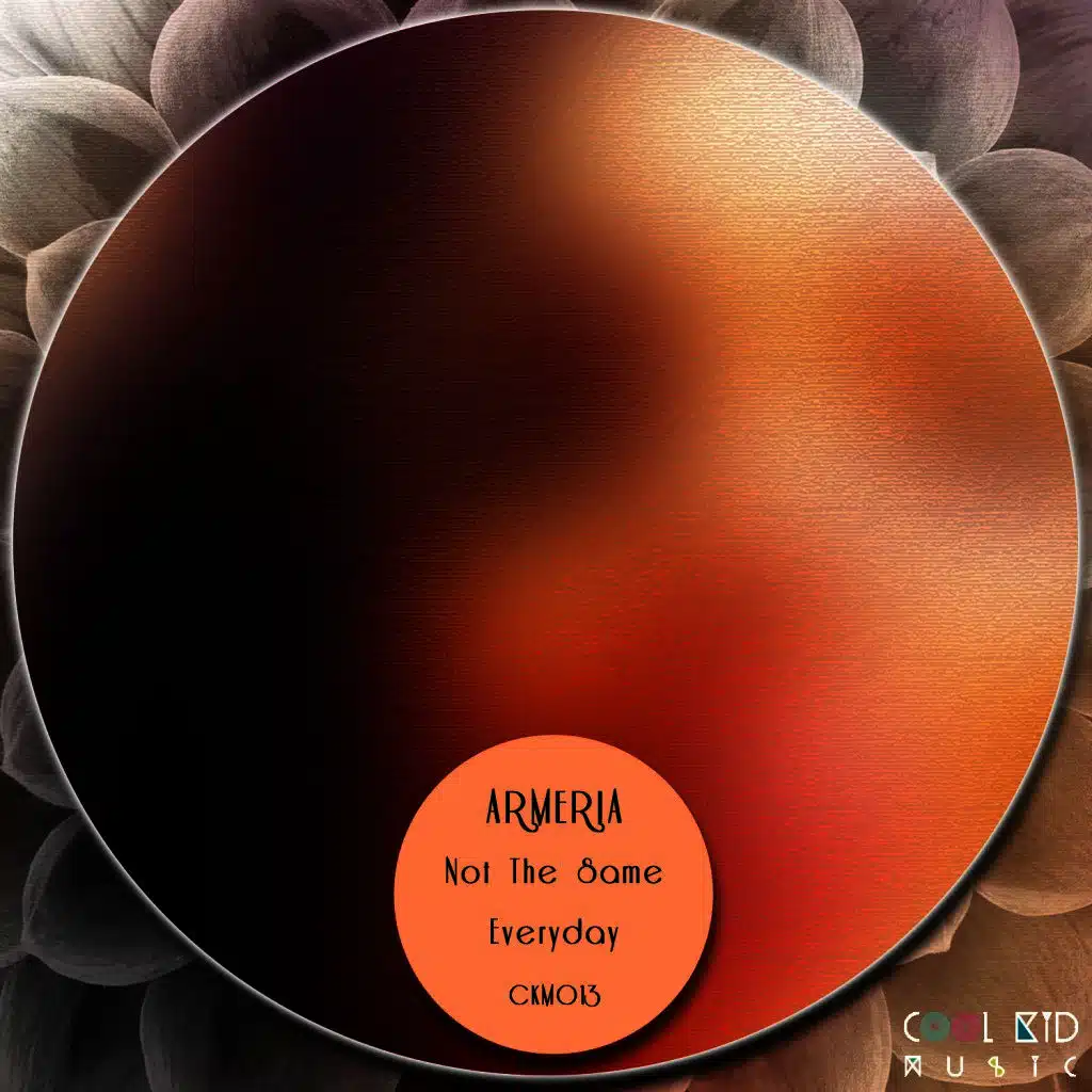 Not the Same / Everyday