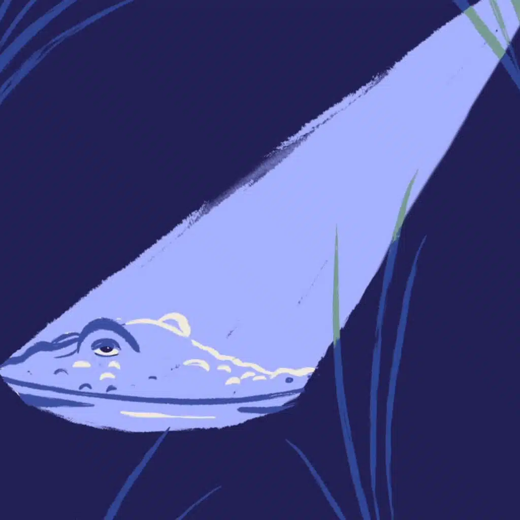 Crocodopolis