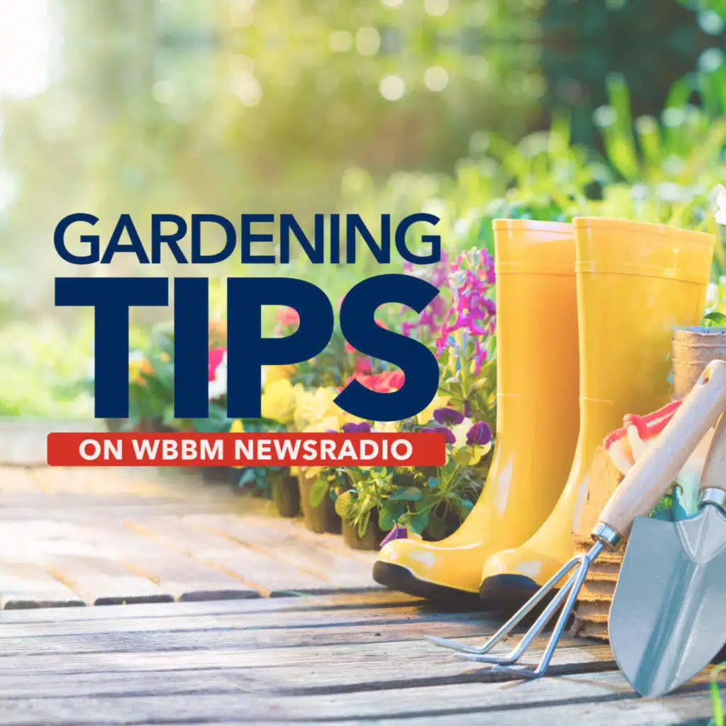 Tips on Growing Theme Gardens