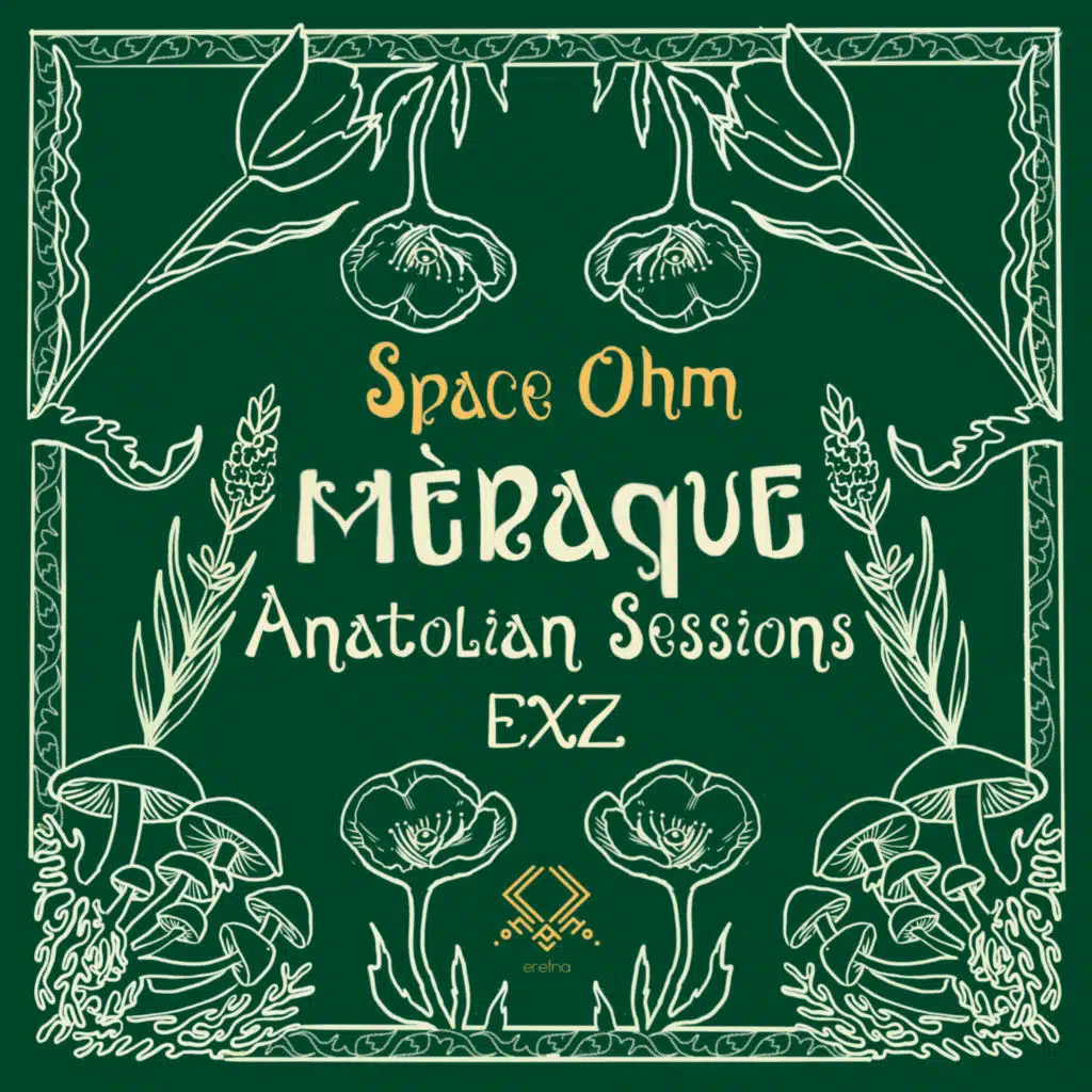 Space Ohm (Anatolian Sessions Remix)