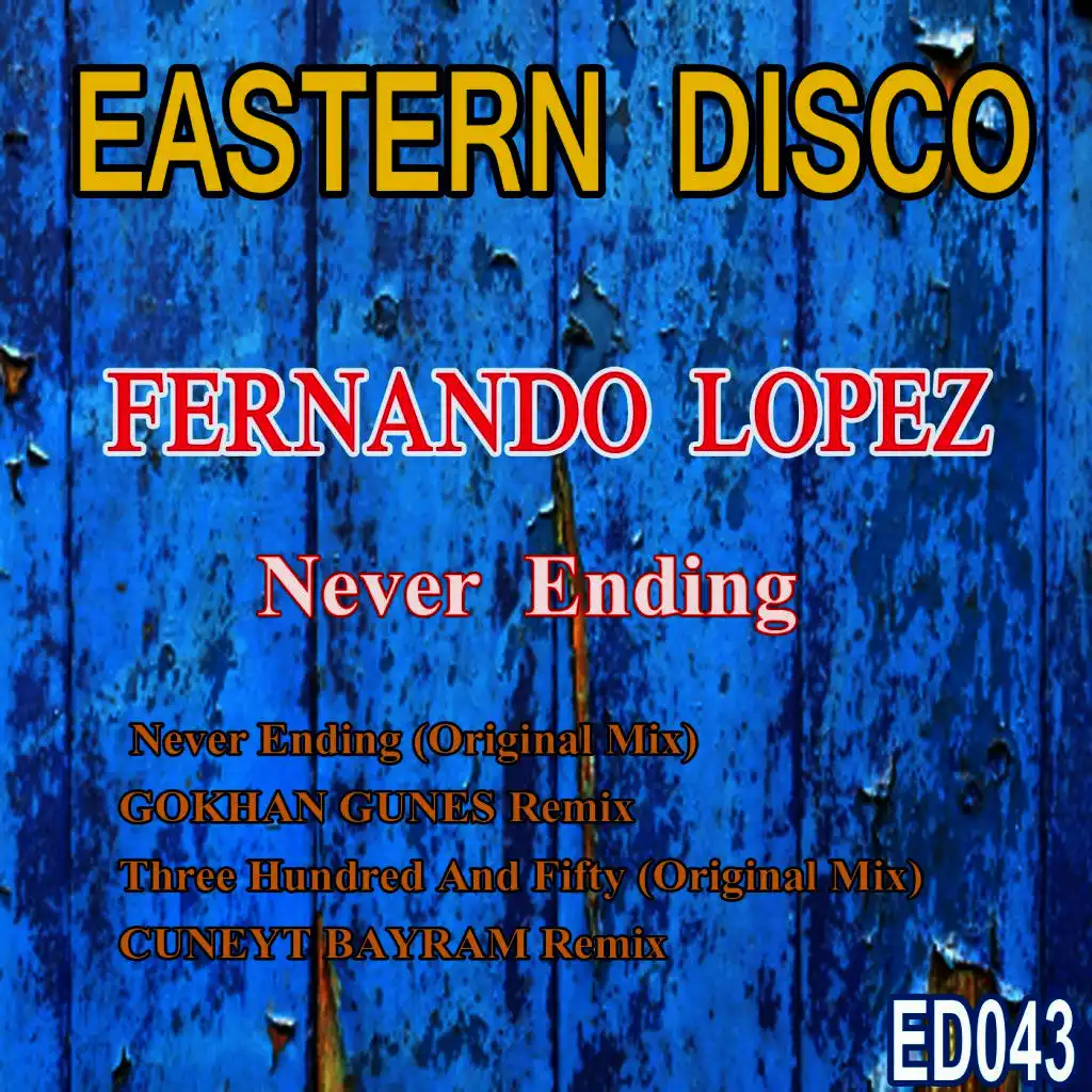 Never Ending (Gokhan Gunes Remix)