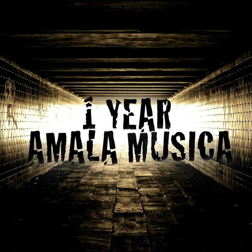 1 Year Amala Musica