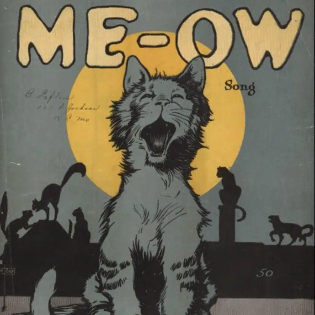 Melodías pizarras - Especial Gatos - 17/05/25