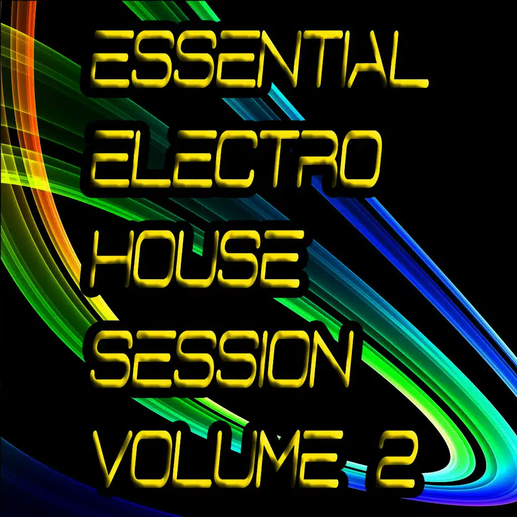 Essential Electro House Session, Vol. 2