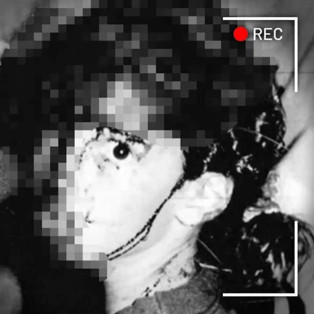 À 11 ANS, ELLE SURVIE À UN CARNAGE ET RETROUVE UN TUEUR EN SÉRIE ! - affaire criminelle