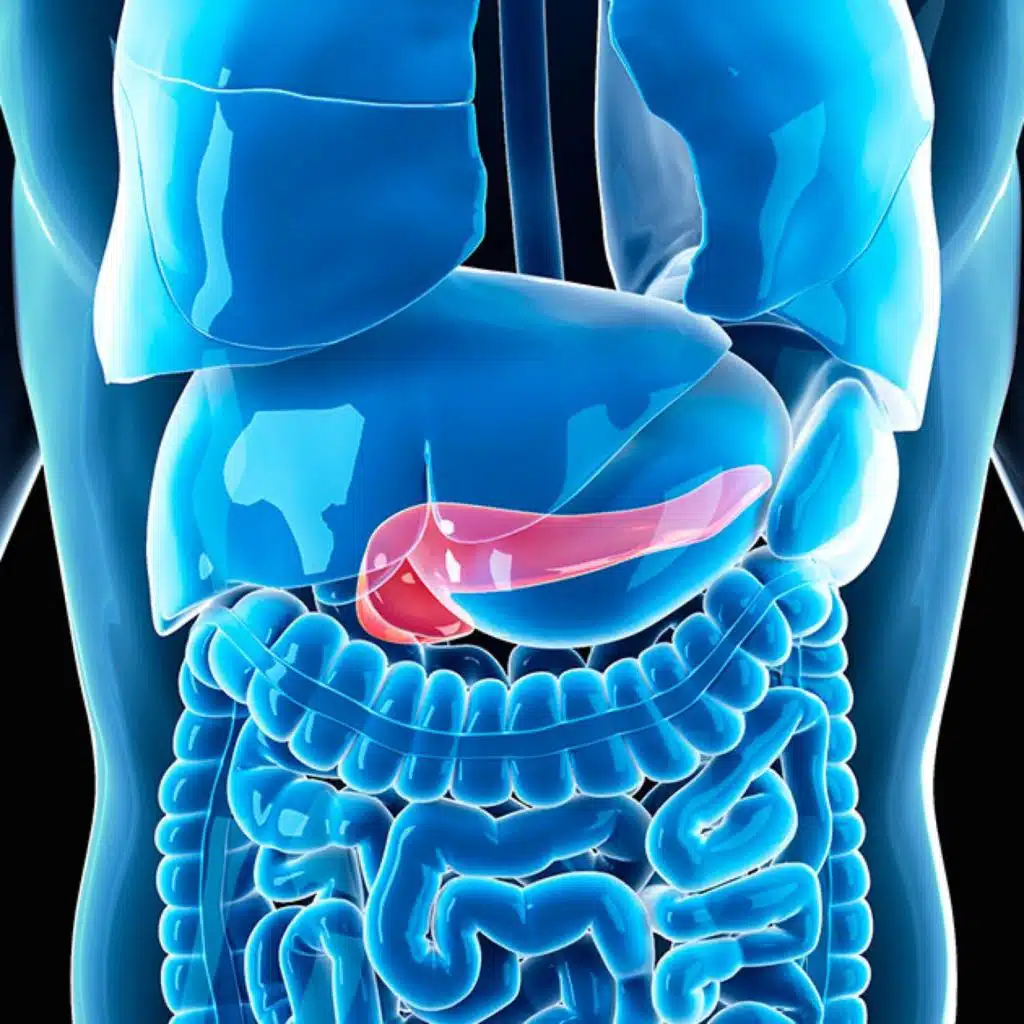 التهاب البنكرياس وأعراضه التهاب البنكرياس له أسباب عدة