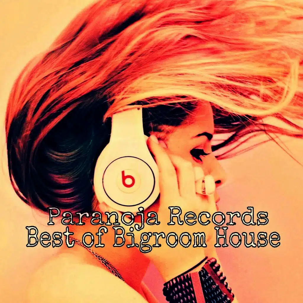 Best of Bigroom House