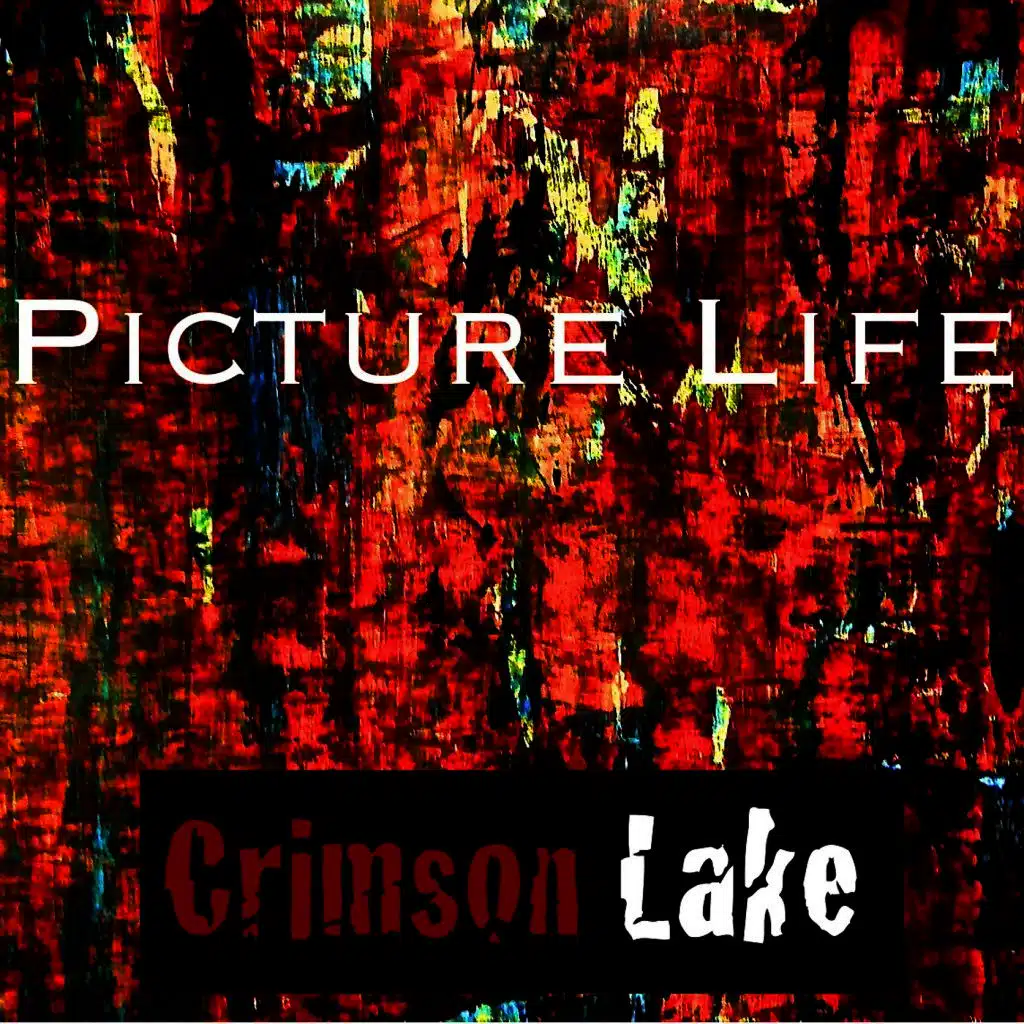 Picture Life