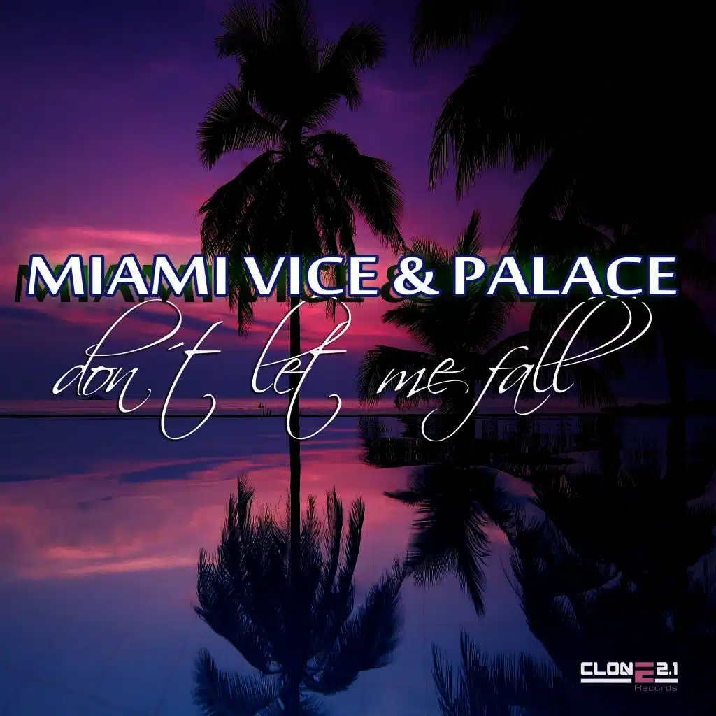 Don't Let Me Fall (Palace Mix)