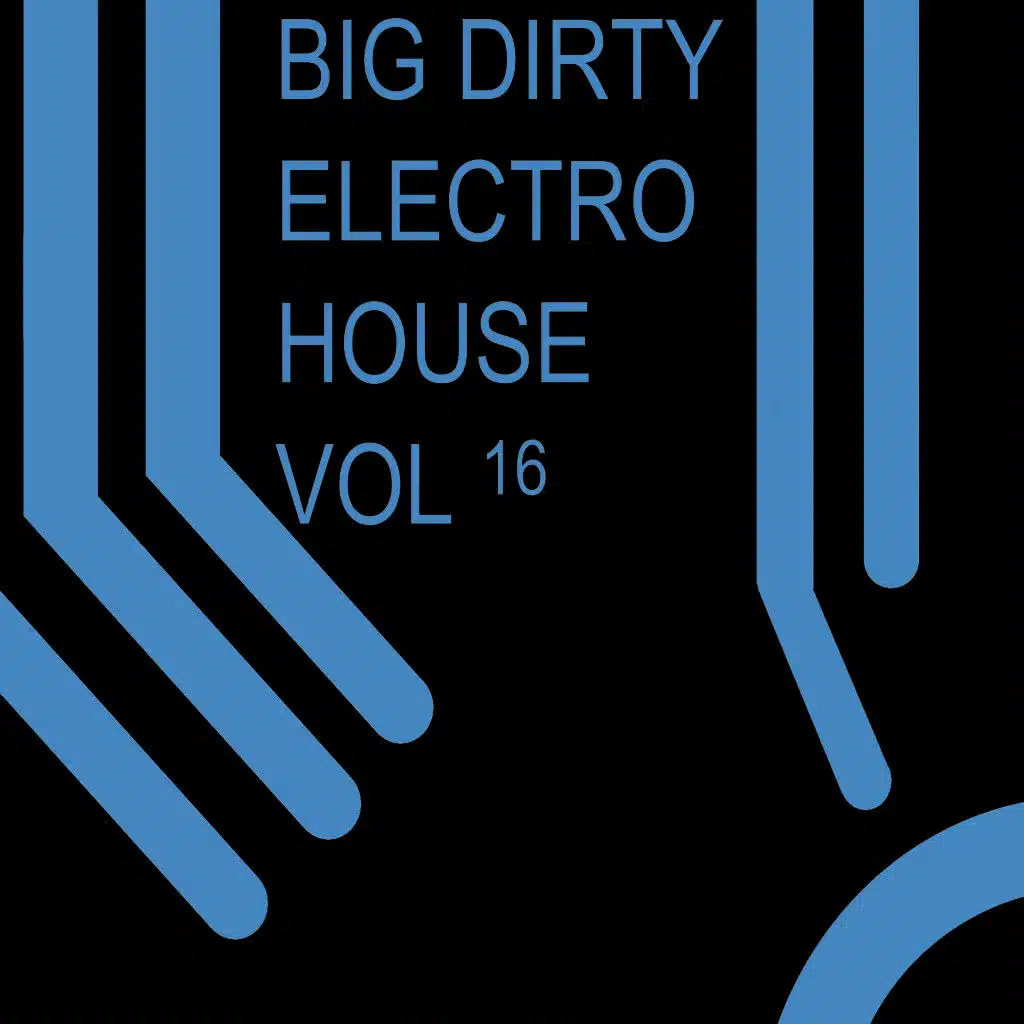 Big Dirty Electro House, Vol. 16