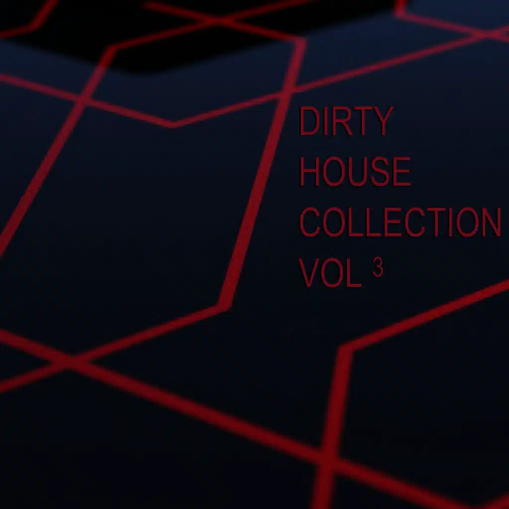 Dirty House Collection, Vol. 3