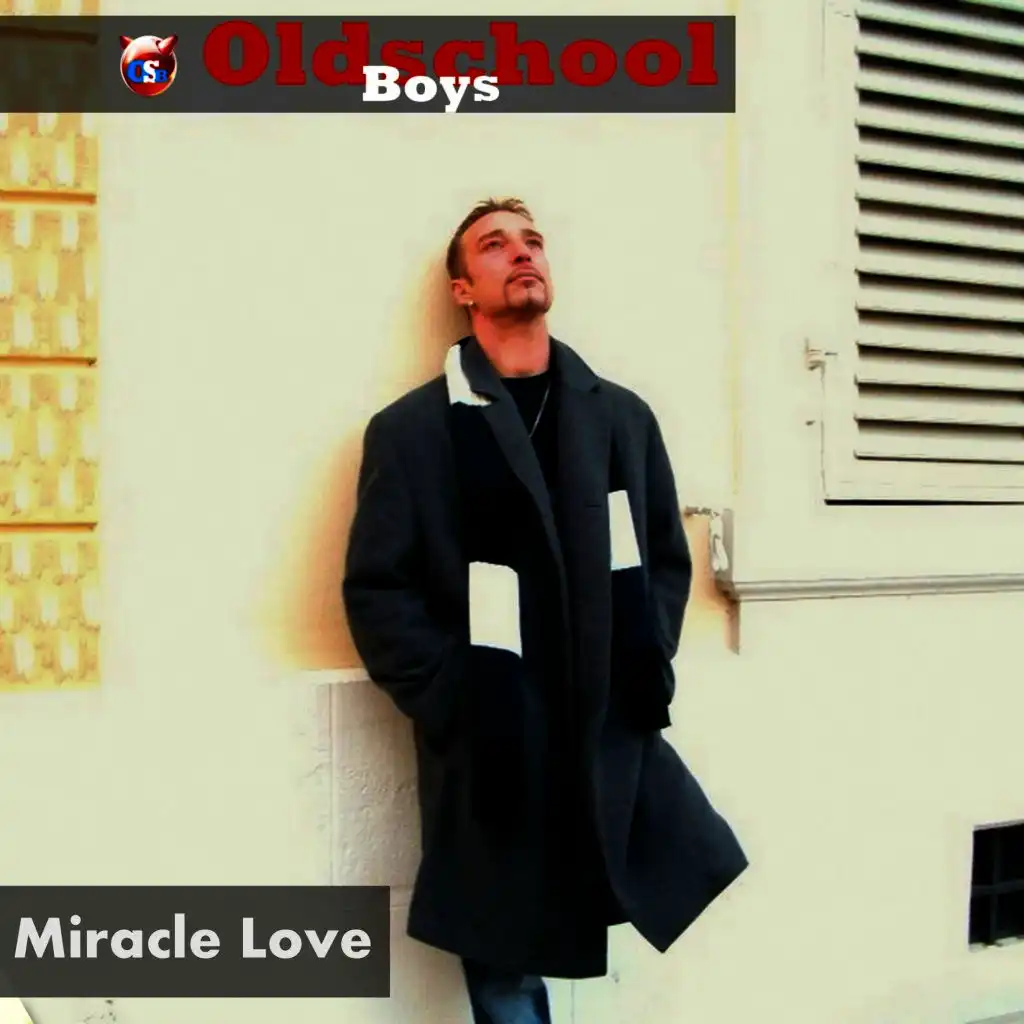 Miracle Love (Van Pain Project Remix)