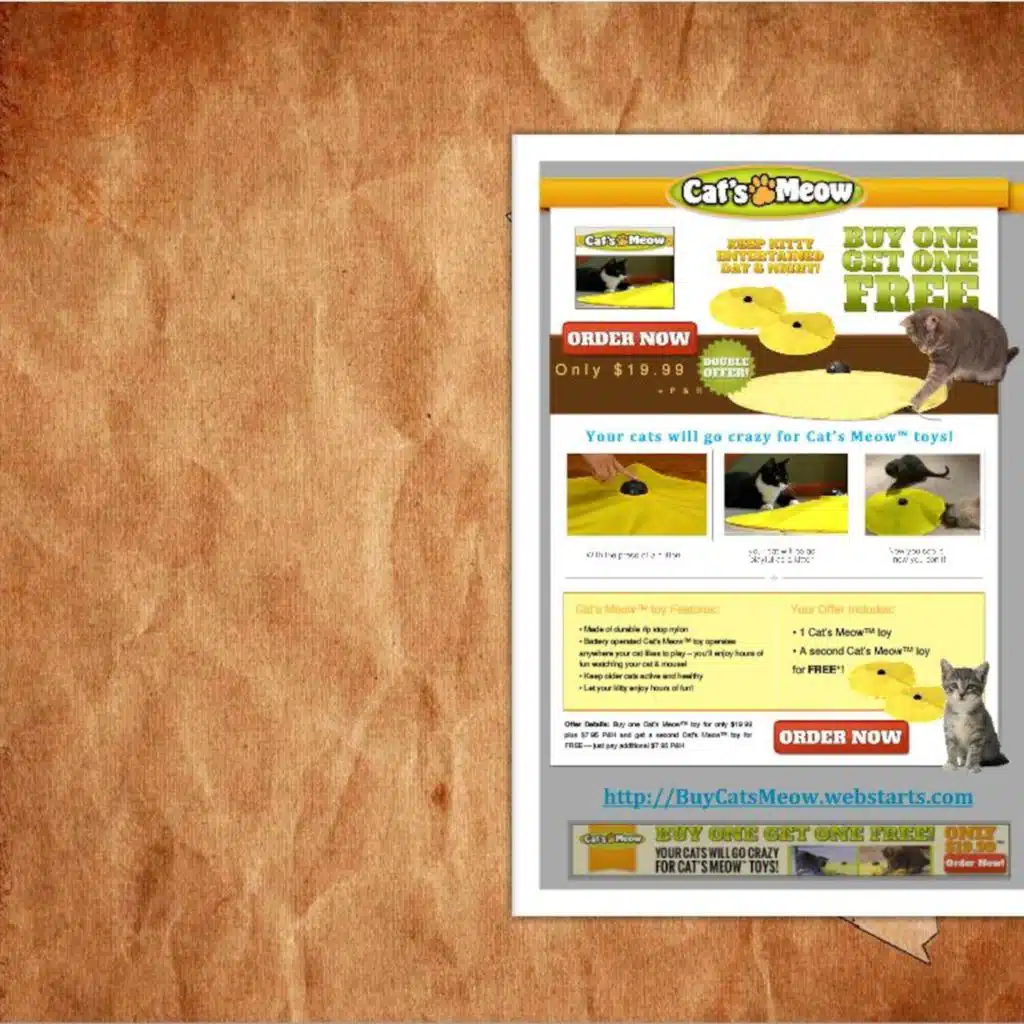 Buy the Cats Meow to Keep Your Cat Occupied and Out of Trouble