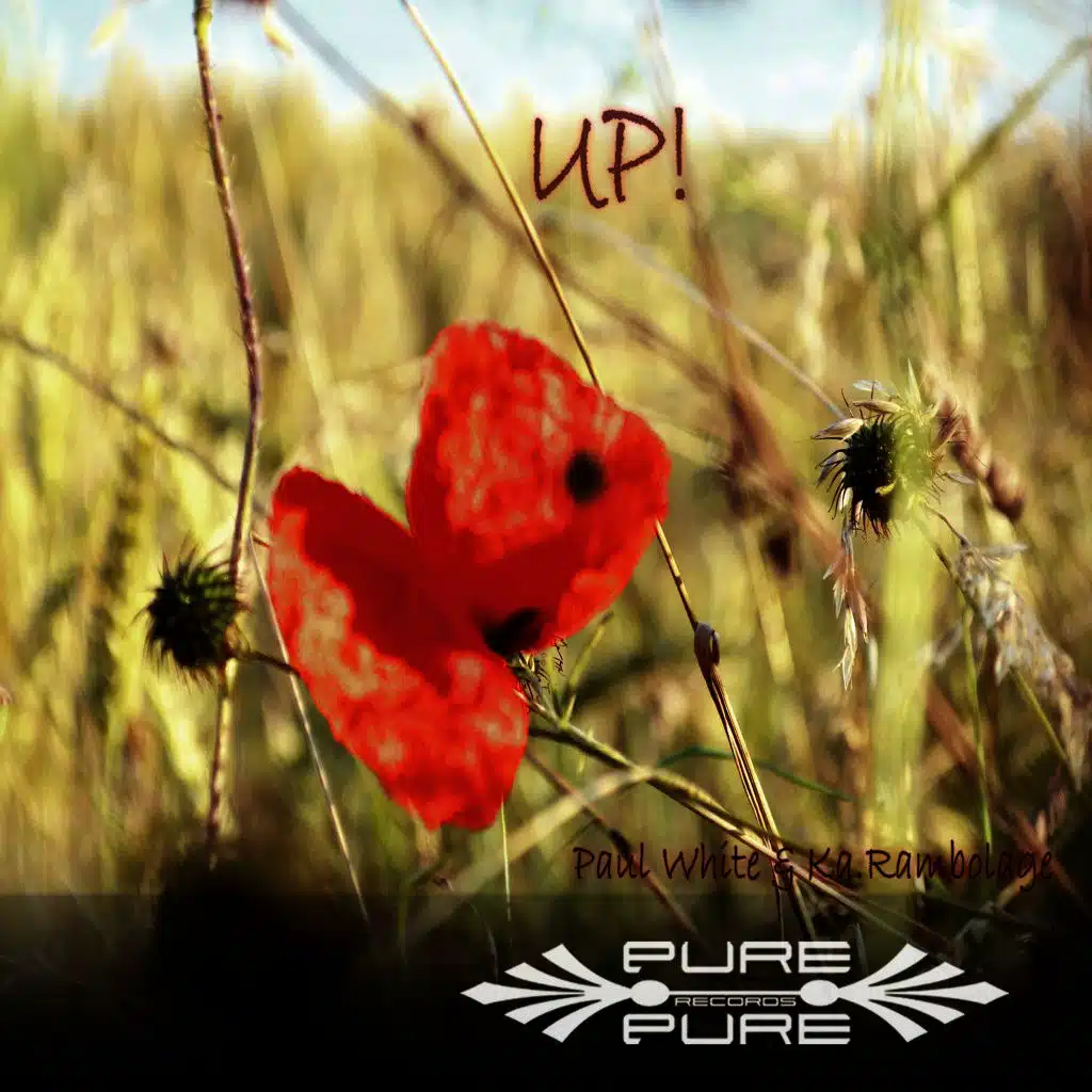 Paul White & Ka.rambolage