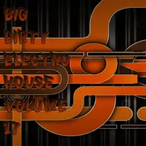 Big Dirty Electro House, Vol. 17