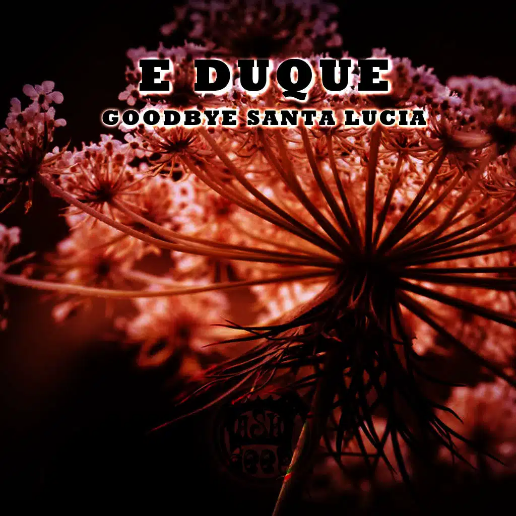 Goodbye Santa Lucia