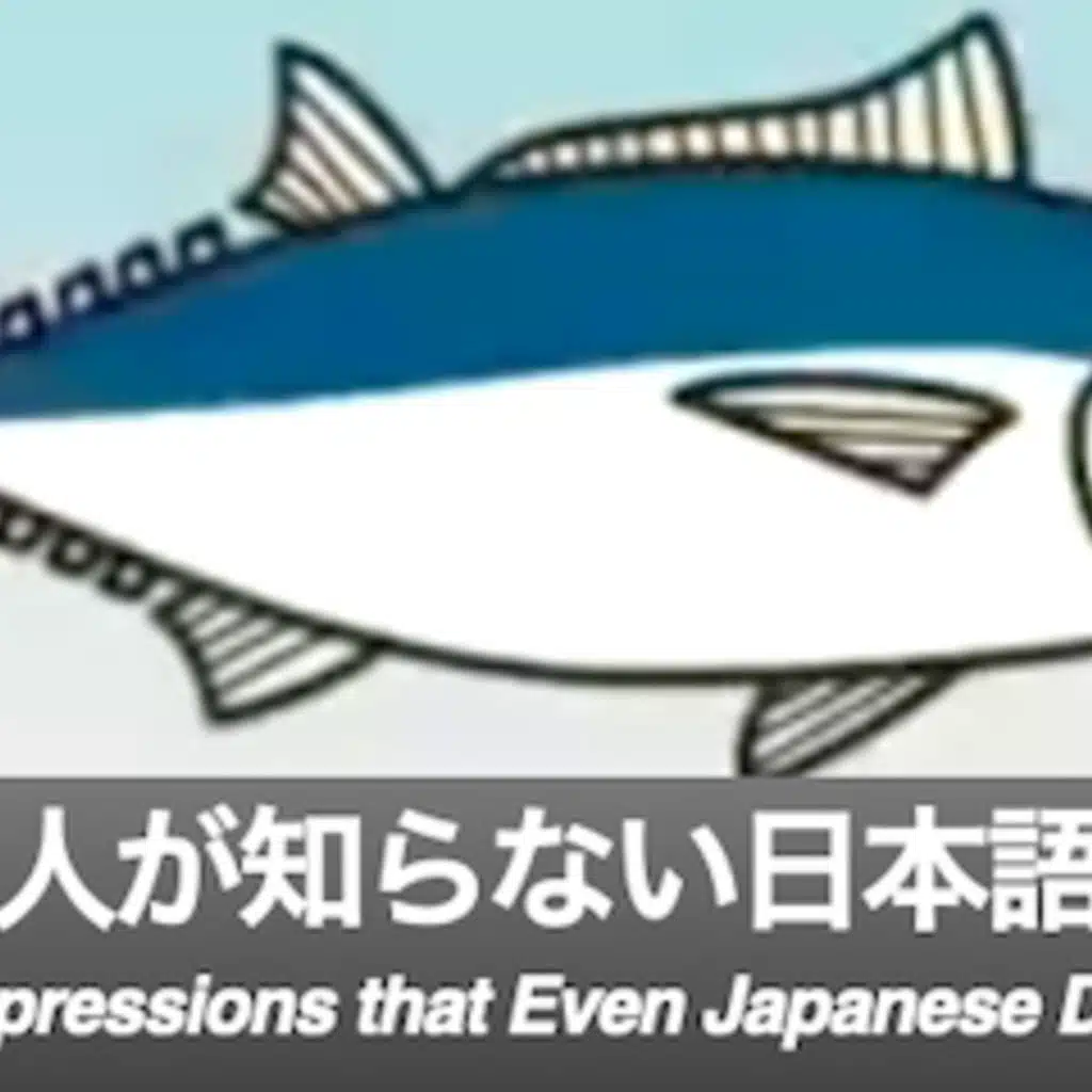 NISJ 265- Japanese Expressions that Even Japanese Don’t Know 1-Intermediate and Advanced Japanese Listening
