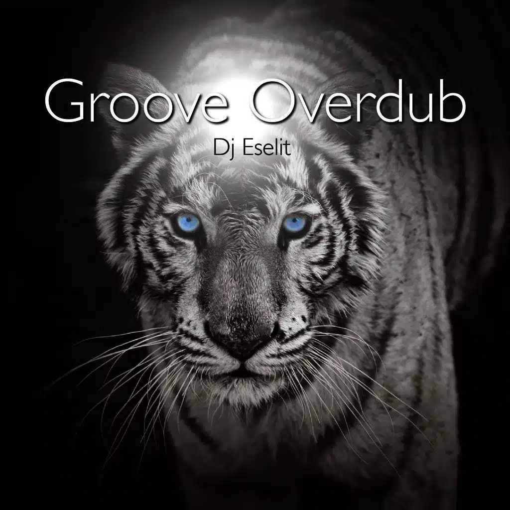 Groove Overdub