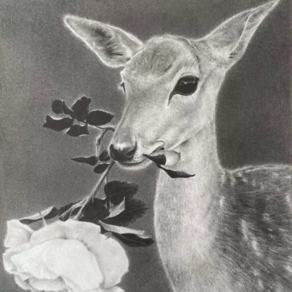 Silo & Steven Cranberry