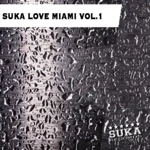 Suka Love Miami, Vol. 1