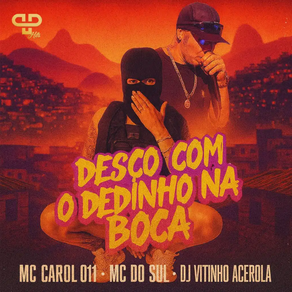 PP Hits, MC do Sul, mc carol 011 & DJ Vitinho Acerola