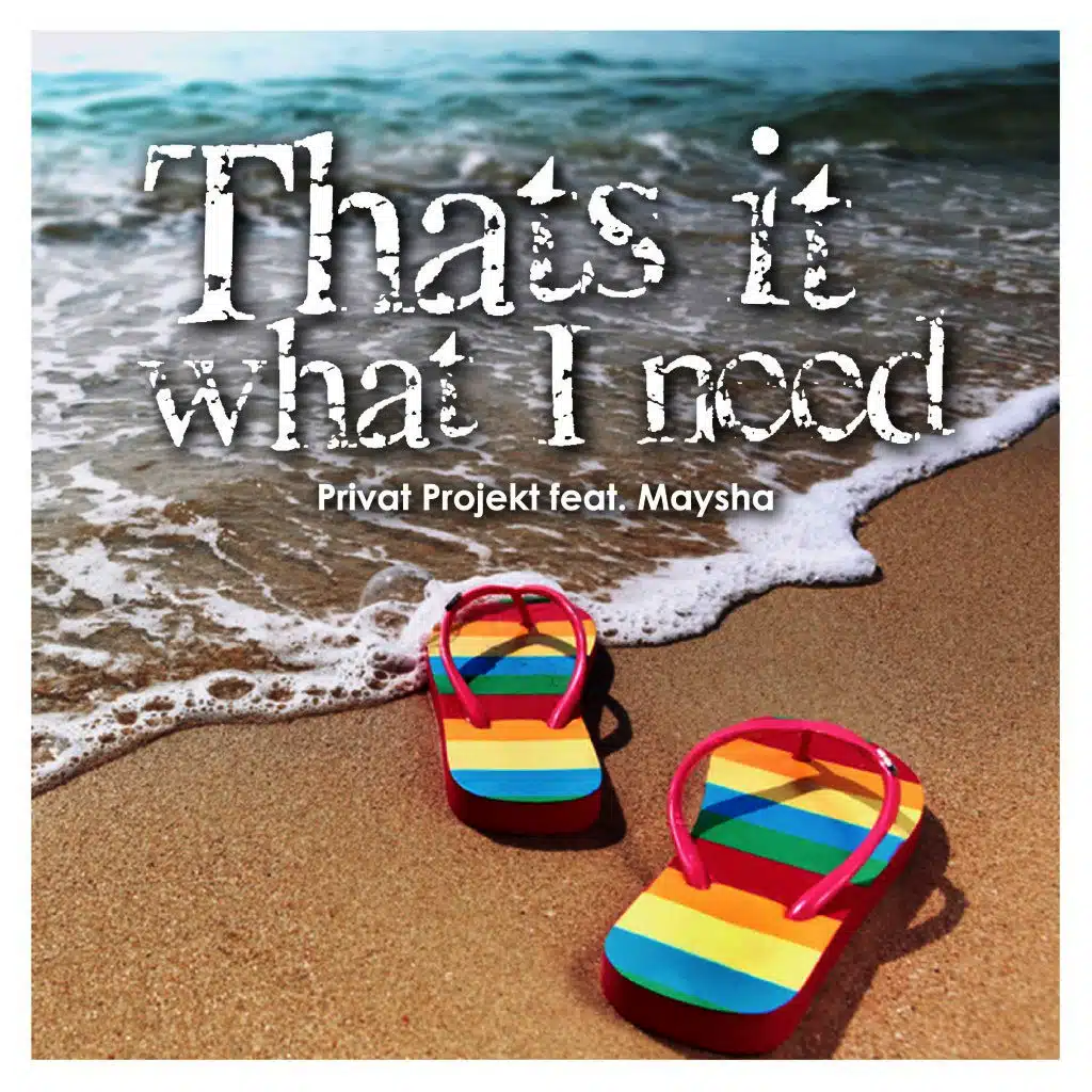 That's It What I Need (Radio Edit)