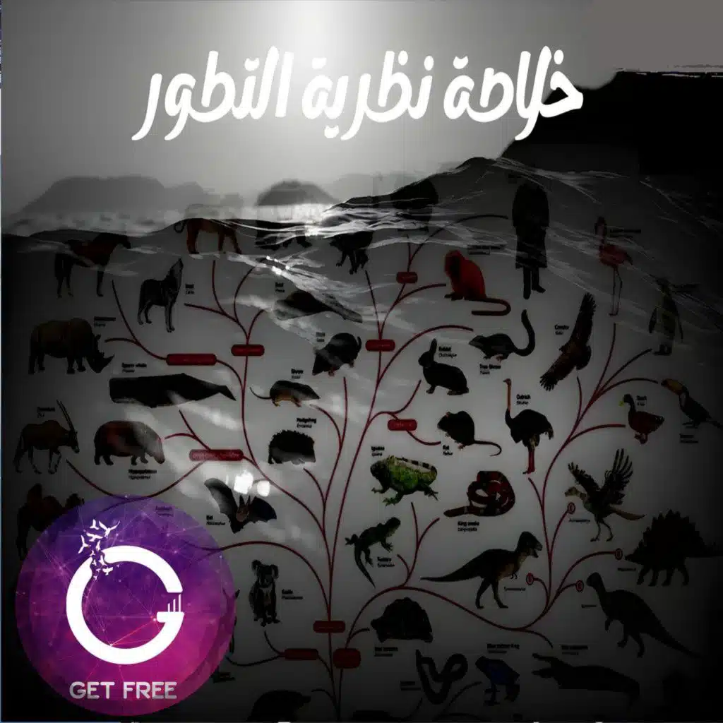 ملخص نظرية التطور | وهل تعارض الدين ؟ ببساطة 4