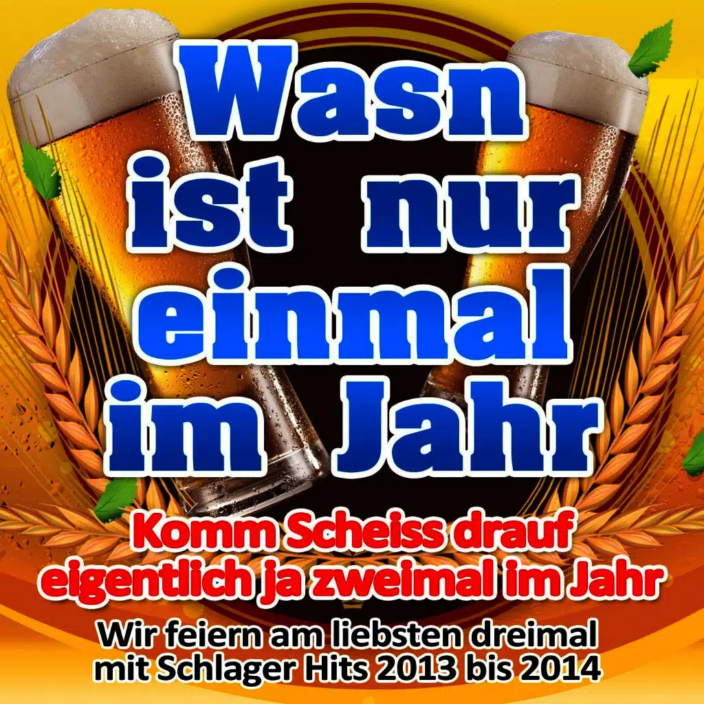 Wasn ist nur einmal im Jahr - Komm Scheiss drauf eigentlich ja zweimal im Jahr