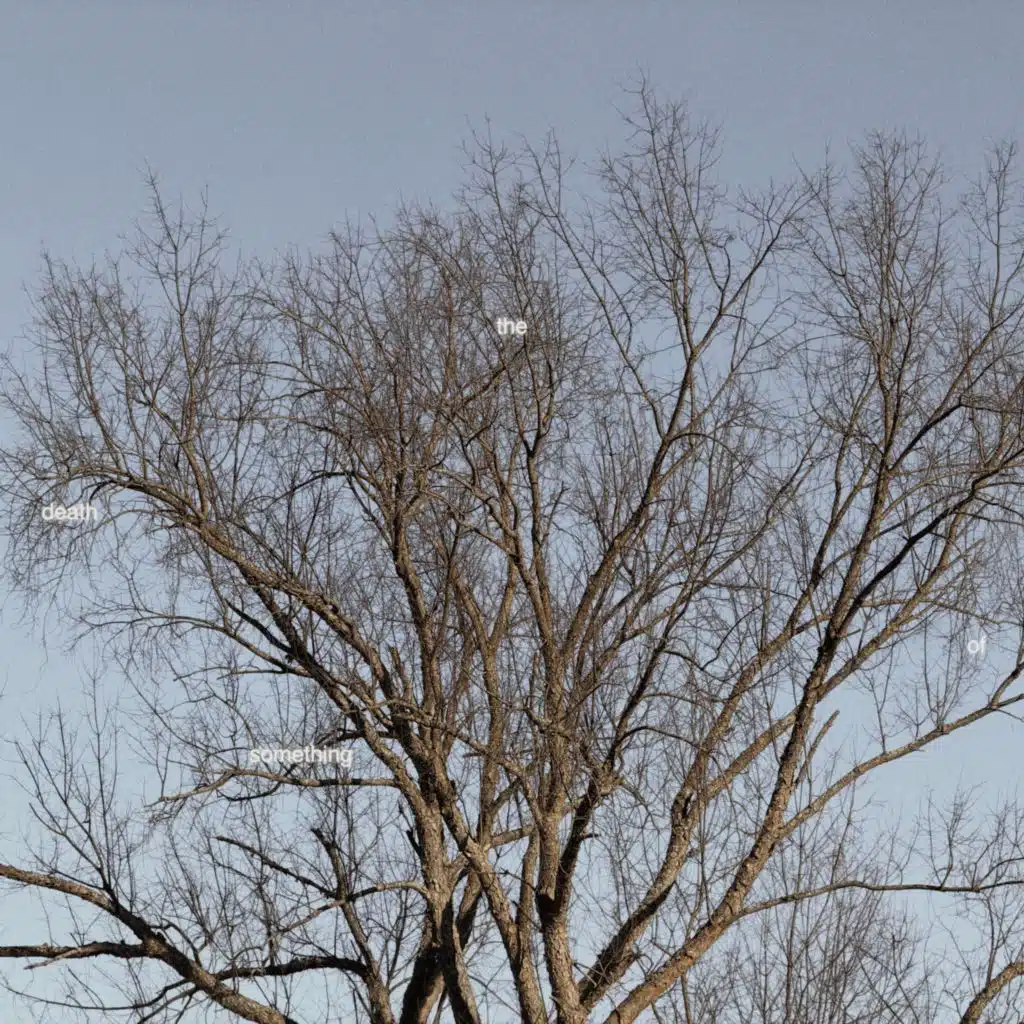 Jeremy James Whitaker