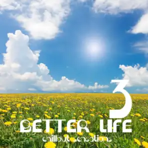 Better Life, Vol. 3 (Chillout Sensations)