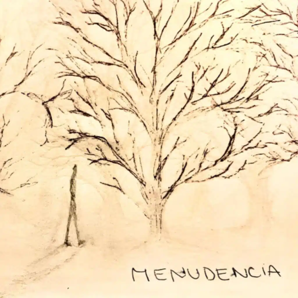 Menudencia