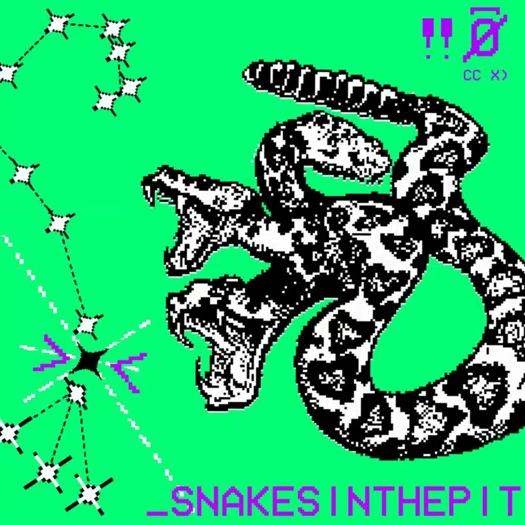 SNAKESINTHEPIT