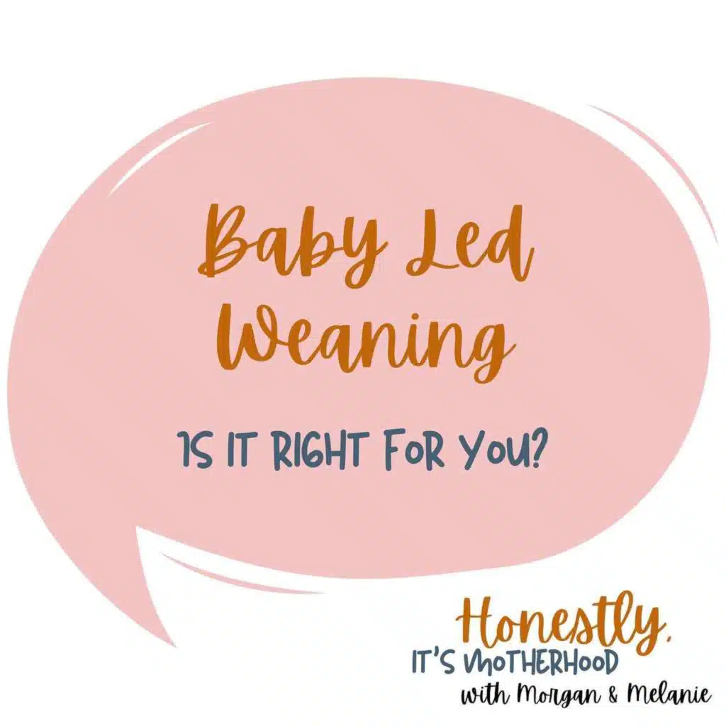 Baby Led Weaning