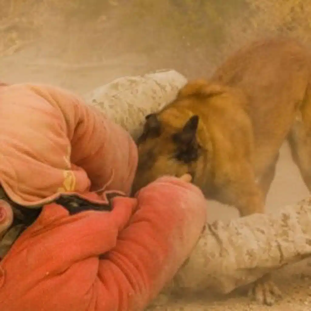 519: Dog Eat Ball World