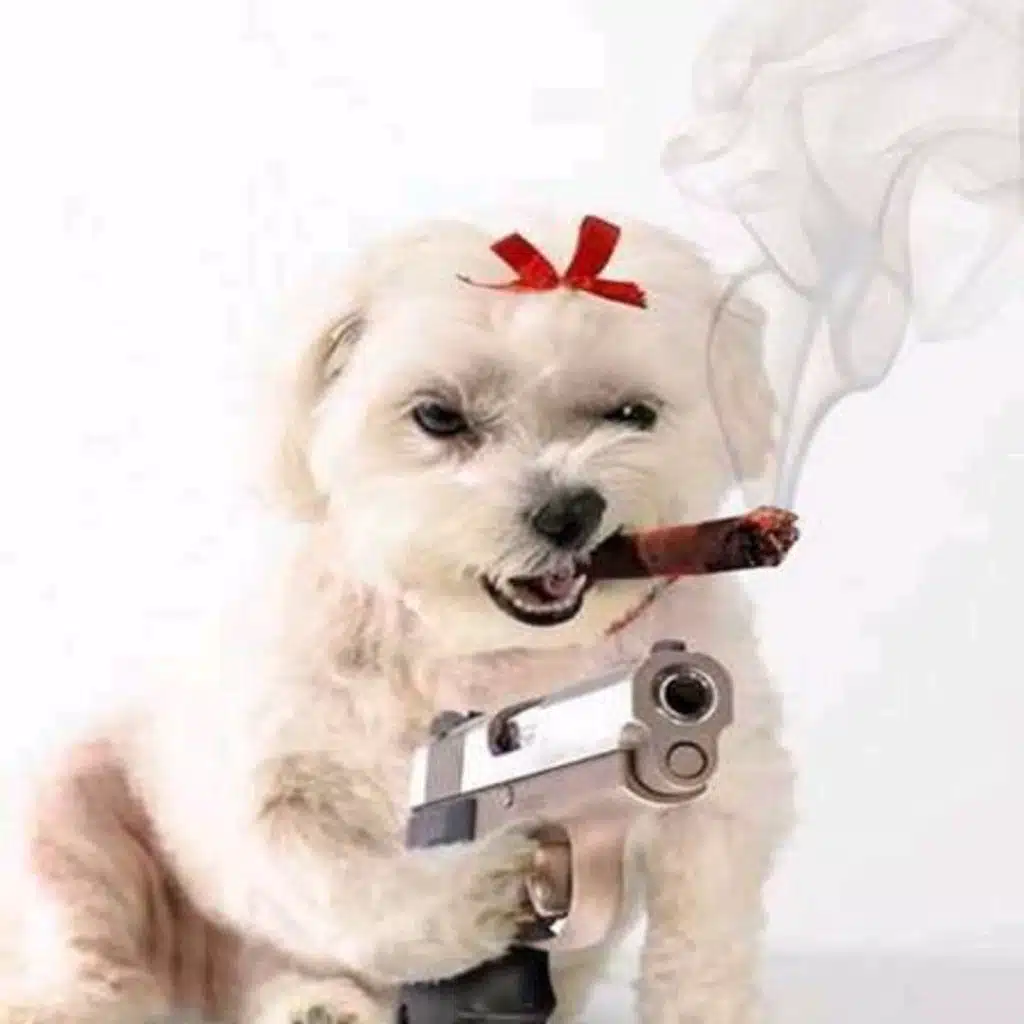 1089: Dog Shoots Man