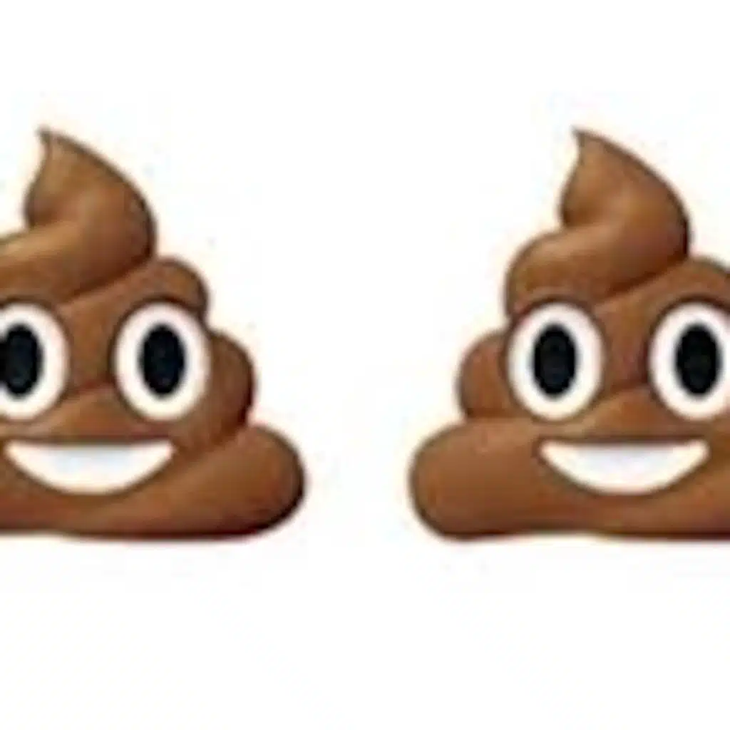 1668: Poop Train