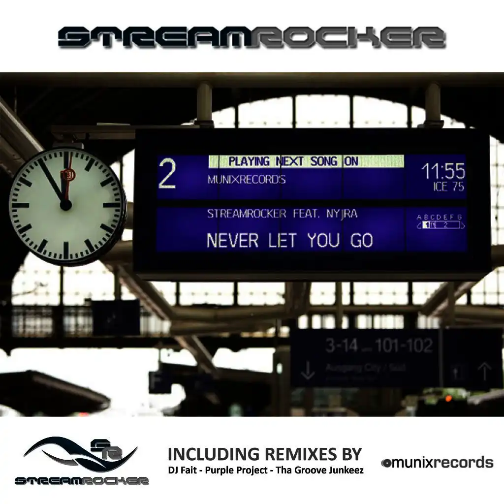 Never Let You Go (Purple Project Remix Edit)