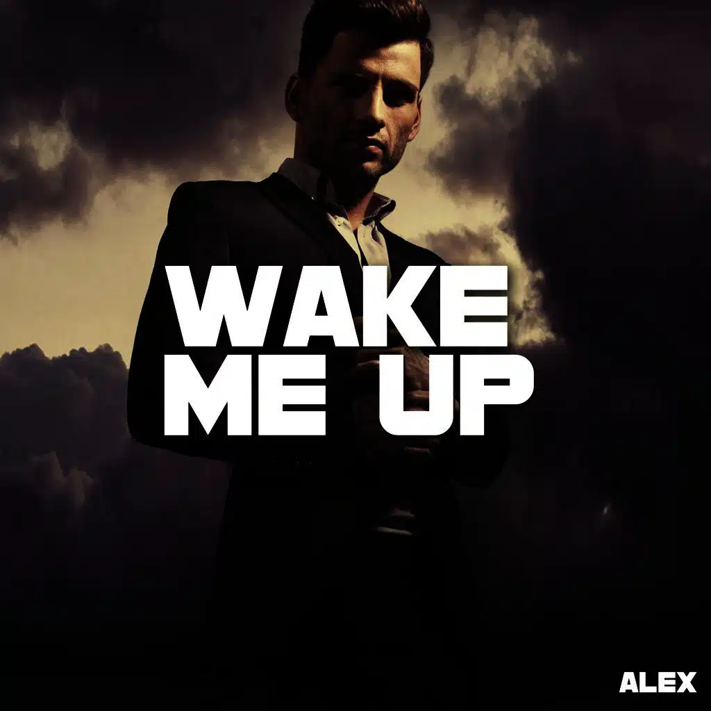Wake Me Up (Karaoke Version)
