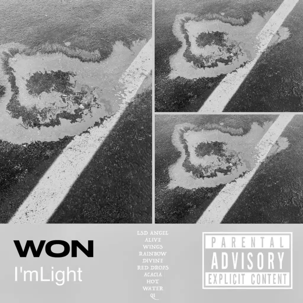 WON (Slowed & Sped Up)