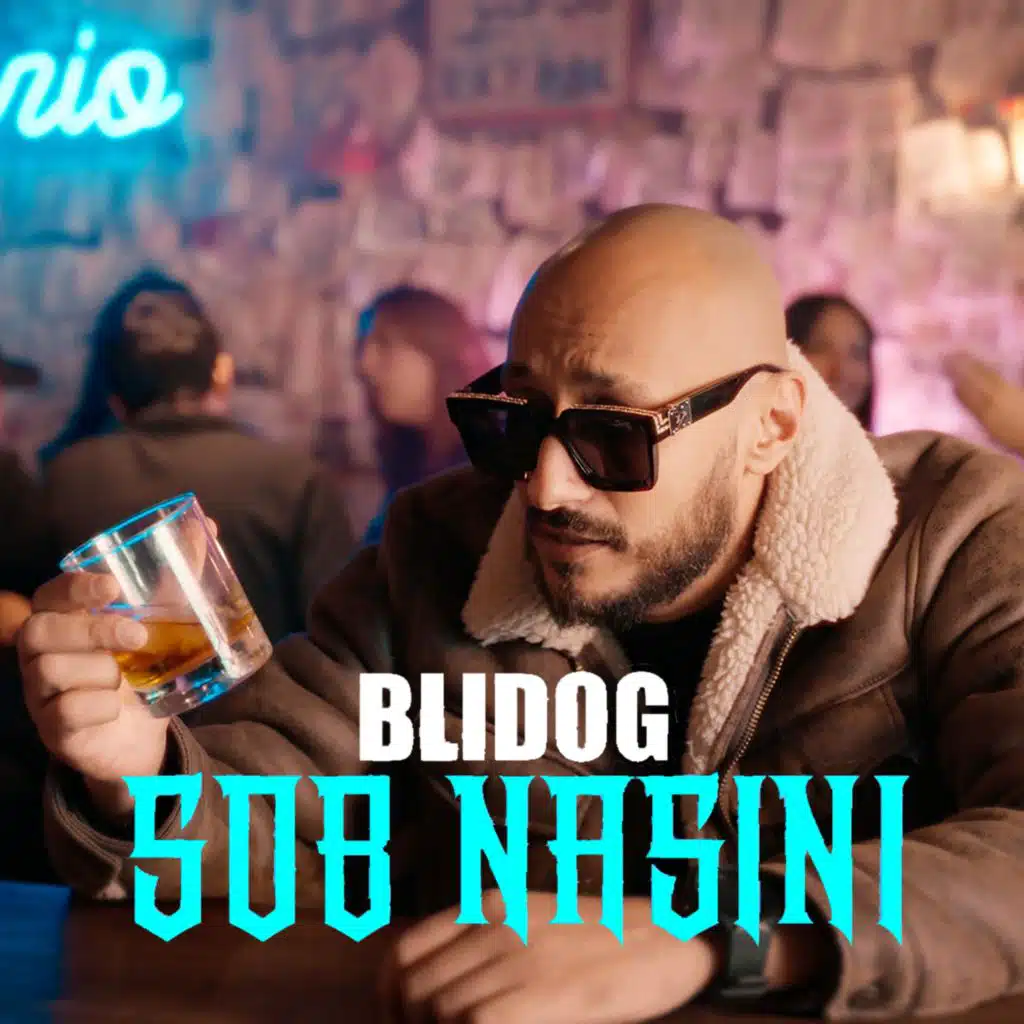Blidog