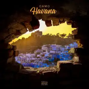 Havana (feat. Livid & Q)