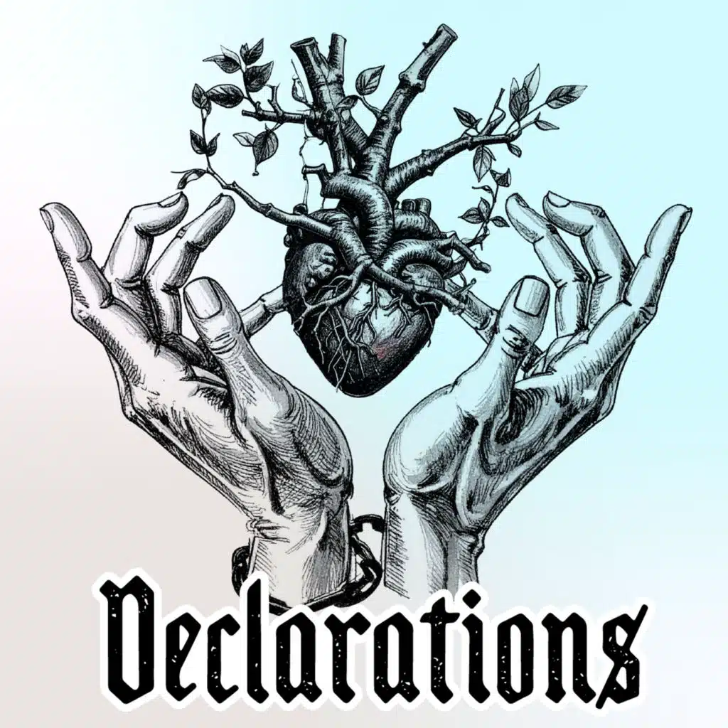 Declarations