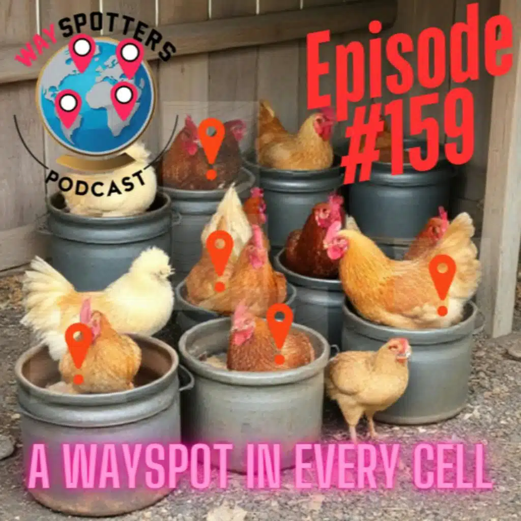 159. A Wayspot in Every Cell