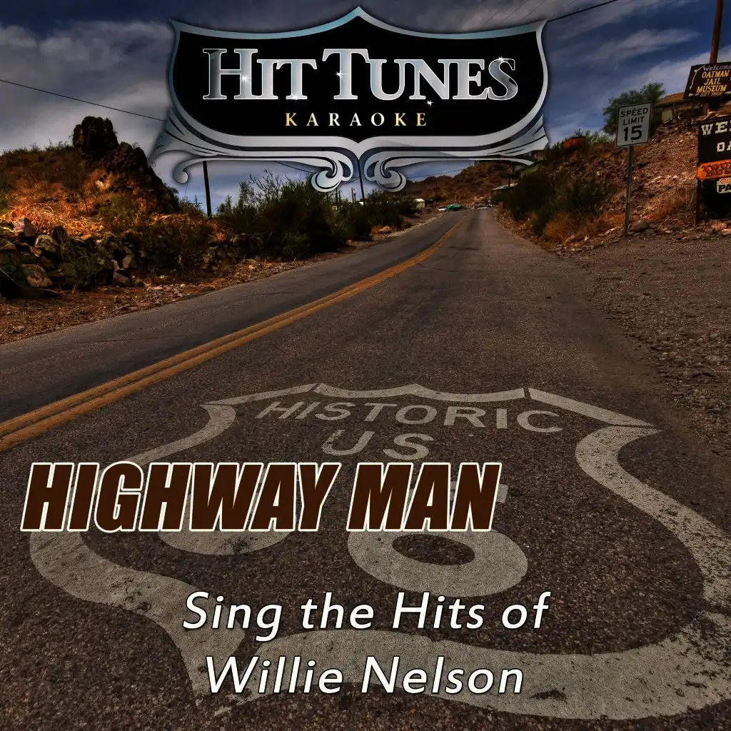 Highway Man (Sing the Hits of Willie Nelson)