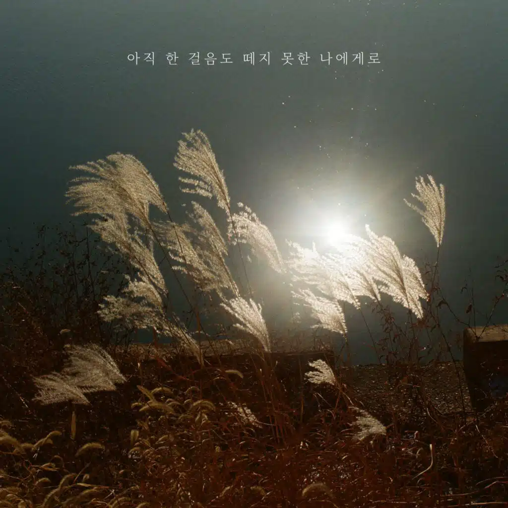 Jeong Dong Won
