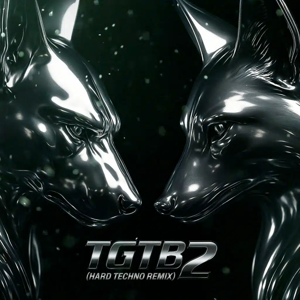 TGTB2 (Hard Techno Remix)