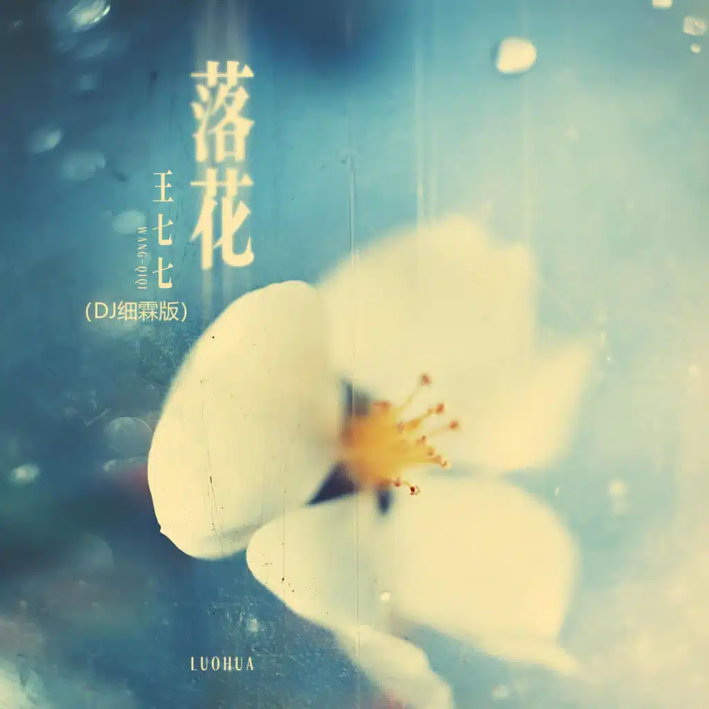 落花 (DJ 細霖版) [feat. 细霖]