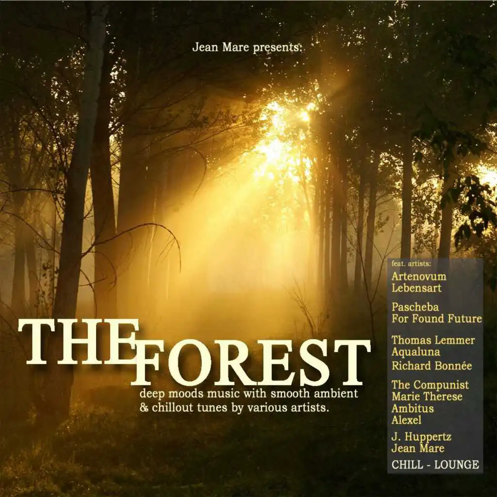 The Forest Dreams (Artenovum Piano Mix)