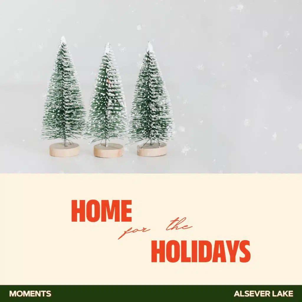 Home for the Holidays