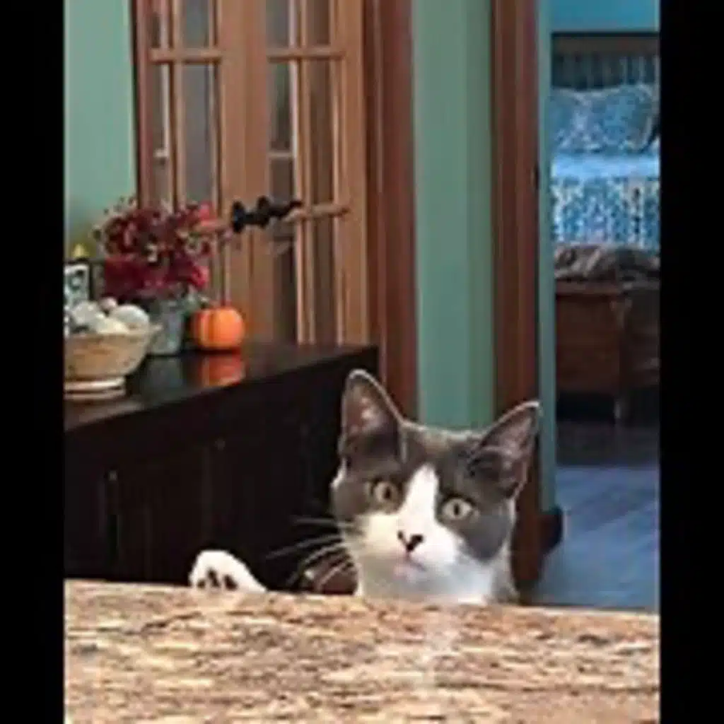 Episode 3019 CWSA 11/15/25